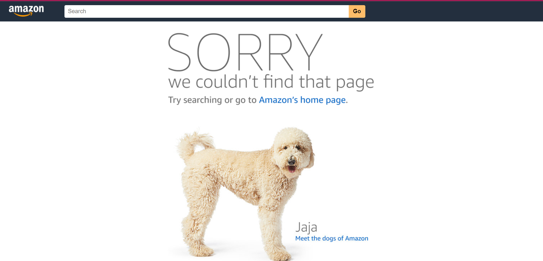 Amazon 404 sayfası